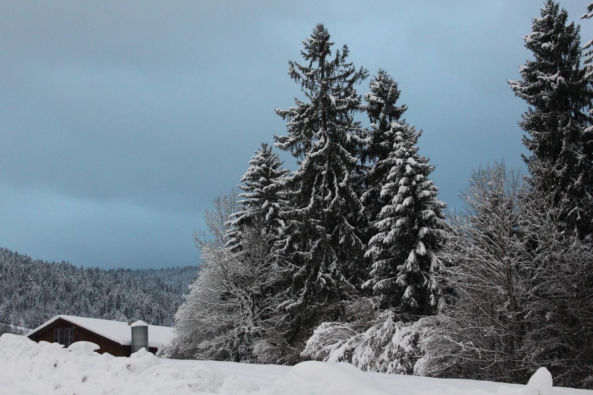 Naturparadies Silvia Alberschwende Esterno foto