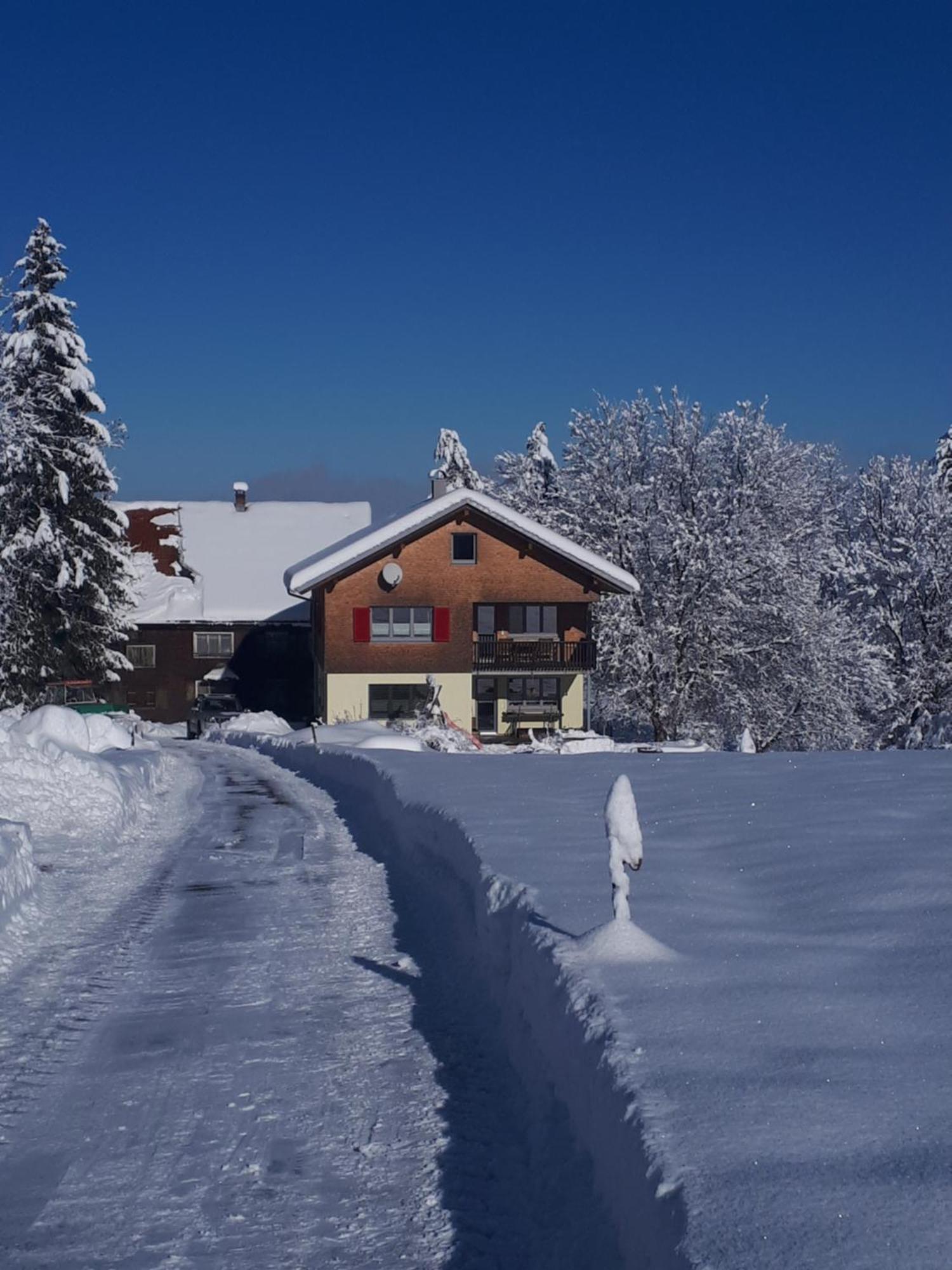 Naturparadies Silvia Alberschwende Esterno foto