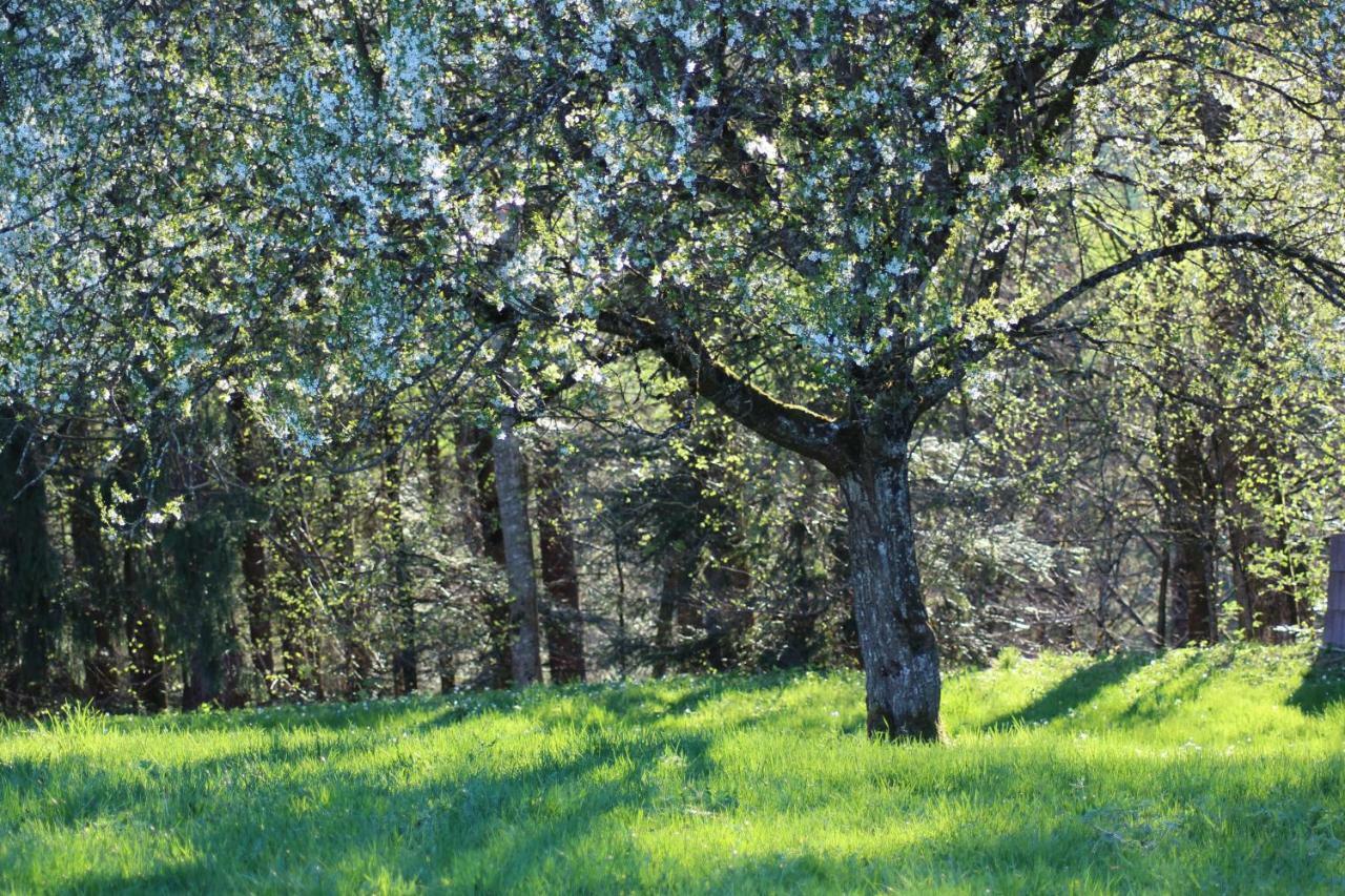 Naturparadies Silvia Alberschwende Esterno foto